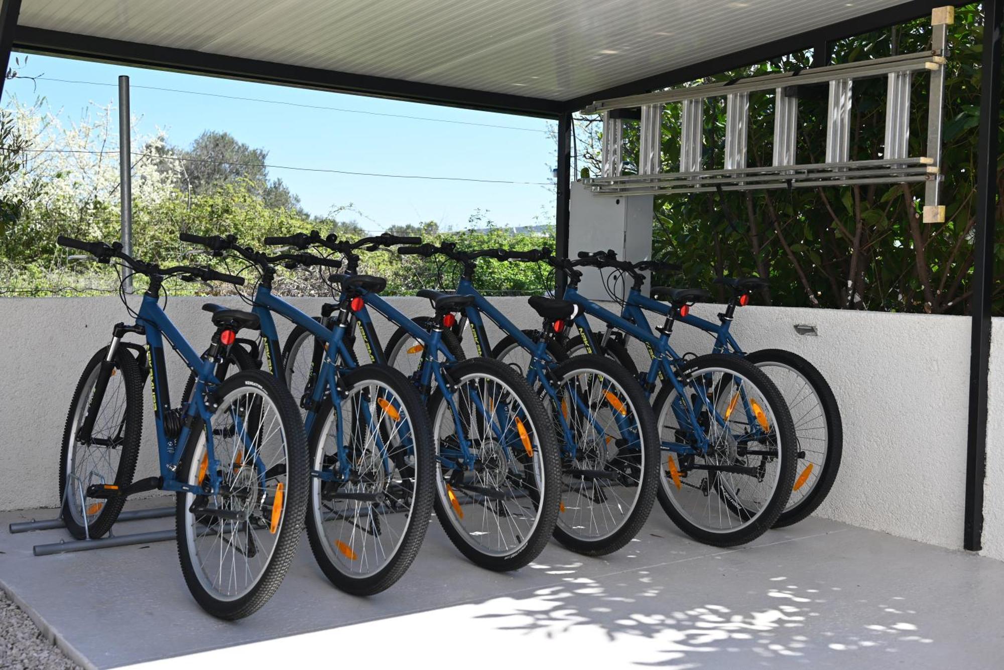 Villa Suncica With Heated Pool, Jacuzzi And Bikes Near Zadar Sukošan Extérieur photo